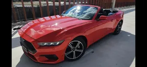 Ford Mustang 2.3 EcoBoost Cabriolet
