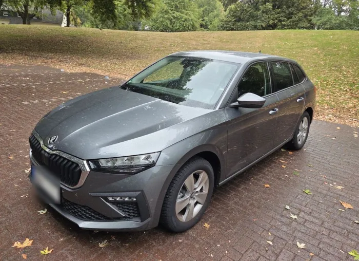 Other Skoda 