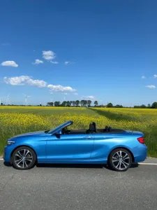 BMW 218i Cabrio Advantage Advantage