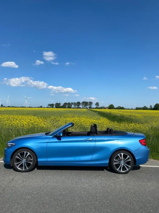 BMW 218i Cabrio Advantage Advantage