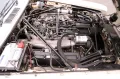 Jaguar XJ12