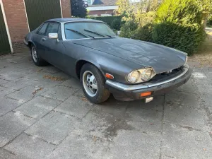 Jaguar XJS - 1985 - Projekt