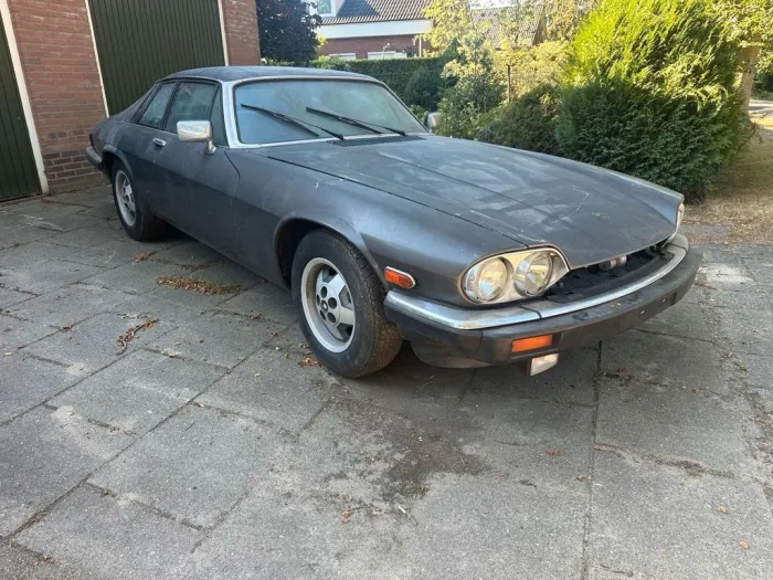 Jaguar XJS - 1985 - Projekt