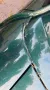 Rover Mini Cooper Rover MK II, 61PS, Schiebedach...