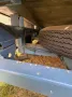 Other Barkas B1000