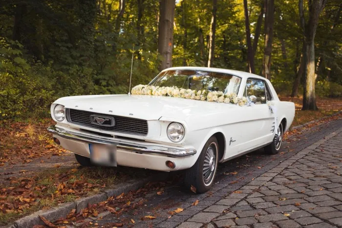 Ford Mustang 1966 6 Zyl. Handschalter 200 cui