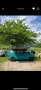 Volkswagen VW T4 Multivan 2,4D Camper Oldtimer