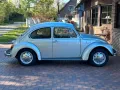 Volkswagen Käfer