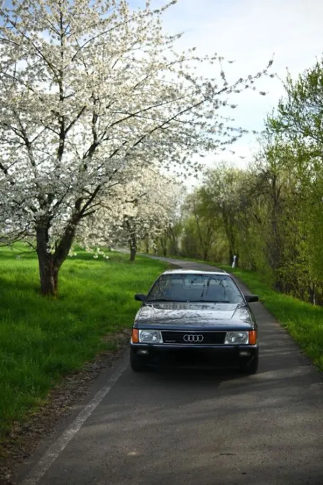 Audi 100 C3 Sport Quattro 2,3