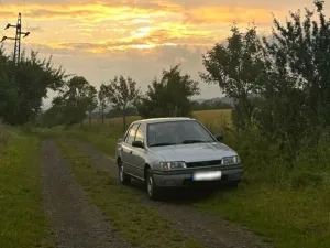 Nissan Sunny N14
