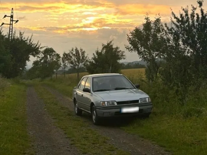 Nissan Sunny N14