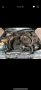 Mercedes-Benz Mercedes Benz W124/ C124 300 CE H-Abnahme