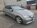 Mercedes-Benz E 250 Cabriolet E 250 BlueEFF. Avantgarde