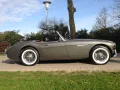 Austin Healey BN-7 kompl. Alukarosse-neu Rest. mit Hardt