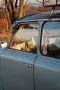 Trabant 601 universal