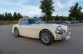 Austin Healey 3000 Mark II (BJ/7)