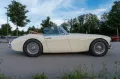 Austin Healey 3000 Mark II (BJ/7)