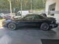 Pontiac Firebird 3.8 6V