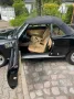 Fiat Spider Pininfarina  H Kennzeichen
