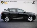 Renault Austral 160 Evolution, SHZ, LED, GJR, Navi