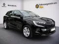 Renault Austral 160 Evolution, SHZ, LED, GJR, Navi