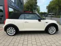 MINI Cooper Cabrio(Tüv&Insp.neu/2 Hand)
