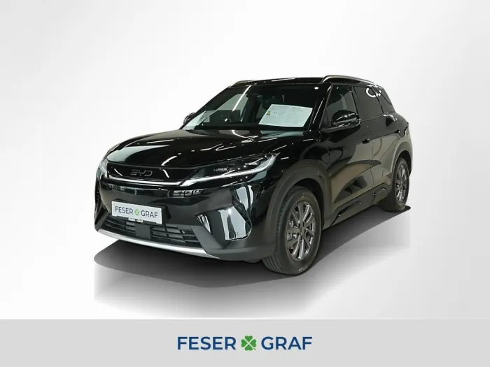 BYD Atto 2 DM-i Boost 156kW 360° Navi Pano 17