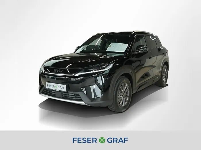 BYD Atto 2 DM-i Boost 156kW 360° Navi Pano 17