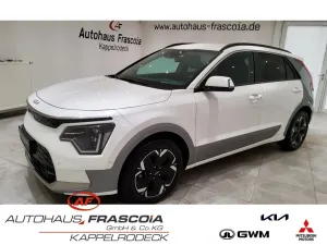 Kia Niro EV Inspiration 64,8kWh (P1,2,3,4,5,7) Leder