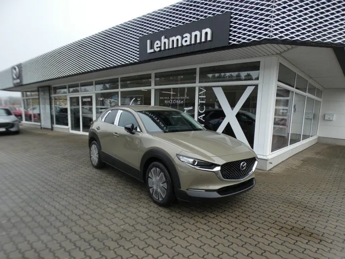 Mazda CX-30 2.5L e-SKYACTIV G 140ps 6AT FWD Homura WKR