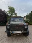 Mercedes-Benz Mercedes Benz GD 250 W461.4 Wolf Bundesweh...