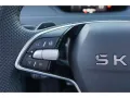 Skoda Enyaq Coupe 85x Sportline Maxx AHK Pano HuD CANT