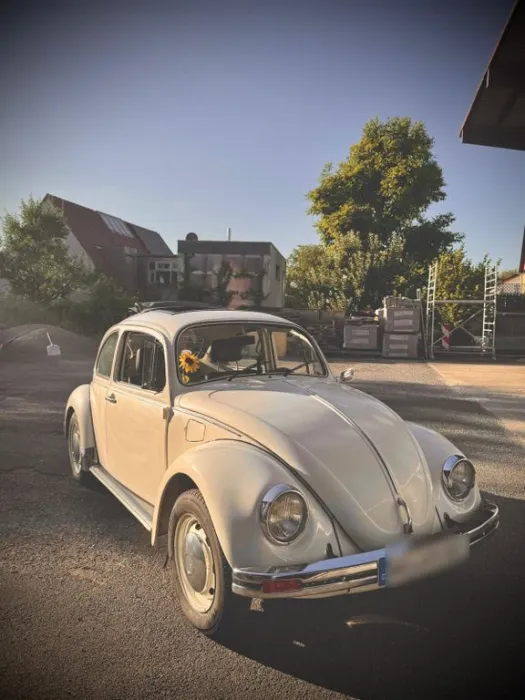 Volkswagen VW Käfer 1200  Weiß mit großem Faltdacht ...