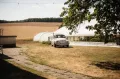 Volkswagen VW Käfer 1200  Weiß mit großem Faltdacht ...