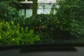 Lexus RX 500