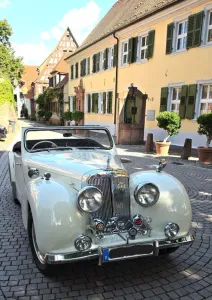Triumph Andere