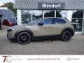 Mazda CX-30 Nagisa 140 Automatik LED-Bose-Sound-Naviga