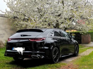 Kia Proceed GT-Line - NOCH 1,5 JAHRE GARANTIE! - 