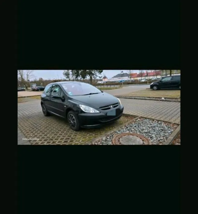 Peugeot peugeot 307