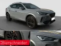 Cupra Formentor 2.0 TSI DSG VZ AHK MATRIX 360 BEATS