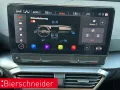 Cupra Formentor 2.0 TSI DSG VZ AHK MATRIX 360 BEATS