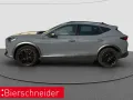 Cupra Formentor 2.0 TSI DSG VZ AHK MATRIX 360 BEATS