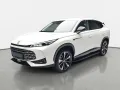 MG HS 1.5 PLUG-IN-HYBRID MY25.5 LUXURY LEDER 360-GR
