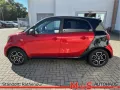 Smart forfour passion Panoramadach