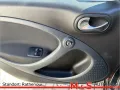 Smart forfour passion Panoramadach