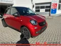 Smart forfour passion Panoramadach