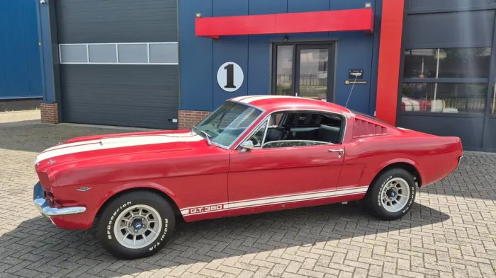Ford 1966 Ford Mustang Fastback Vintage GT350 Tribute