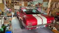 Ford 1966 Ford Mustang Fastback Vintage GT350 Tribute