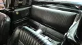 Ford 1966 Ford Mustang Fastback Vintage GT350 Tribute