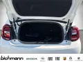 Fiat 500e Cabrio Apps DAB+ Alu Style- Paket